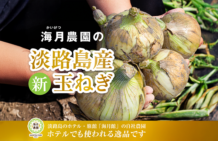 海月館 自社農場栽培！淡路島産 新玉ねぎ
