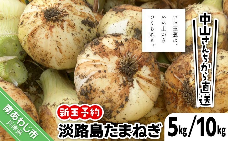 中山さんちから直送　淡路島たまねぎ「新玉」