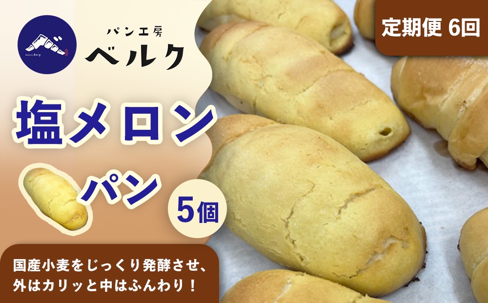 塩味と甘さが絶妙に調和したメロンパン