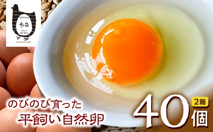 安全性に特化した放し飼い自然卵を産まれた当日に生産農場からお届けします。