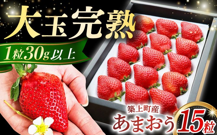 あまおう いちご 苺 イチゴ 特上 ギフト プレゼント 贈答用 贈り物 お祝い フルーツ 高級いちご 人気  国産 おすすめ