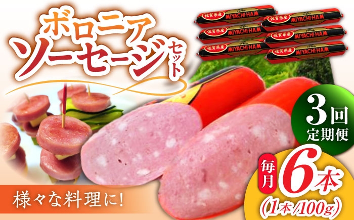 【3回定期便】宮地ハムのロングセラー ボロニアソーセージ 600g（100g×6本） /宮地ハム [UBM011]