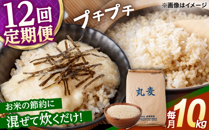 麦 むぎ 雑穀 雑穀米 麦ごはん 麦飯 麦みそ 食物繊維 長崎県産 米 こめ コメ ※
