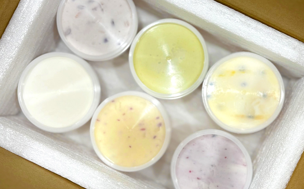 ジェラートしめしめ堂季節のしめしめ大箱ジェラート6種各2個