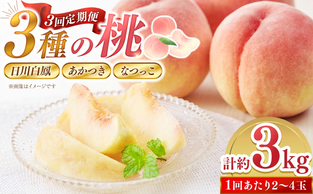 【 3回定期便 】3種の桃が楽しめる！計約3kg