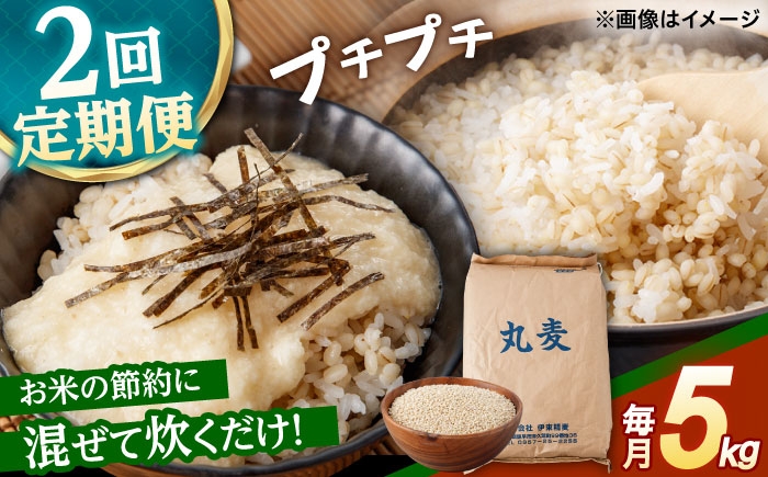 麦 むぎ 大麦 雑穀 雑穀米 麦ごはん ごはん 食物繊維 長崎県産 5キロ 定期便