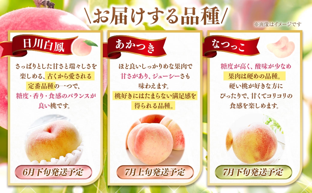 【 3回定期便 】3種の桃が楽しめる！計約3kg