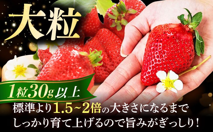 あまおう いちご 苺 イチゴ 特上 ギフト プレゼント 贈答用 贈り物 お祝い フルーツ 高級いちご 人気  国産 おすすめ