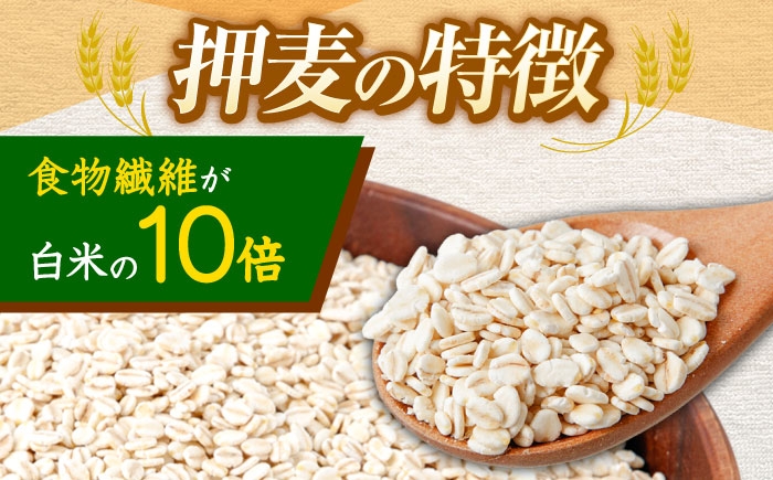 麦 押麦 はだか麦 麦味噌 麦ごはん 雑穀 雑穀米 食物繊維 10キロ 長崎県産 米 こめ コメ ※