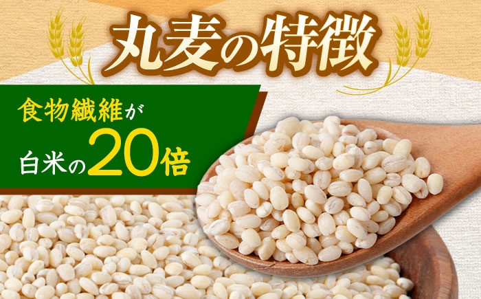 麦 むぎ 大麦 雑穀 雑穀米 麦ごはん ごはん 食物繊維 長崎県産 5キロ 定期便