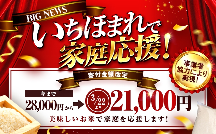 いちほまれ 米 国産 福井県産 令和7年産 精米 白米 10キロ ブランド米 ご飯 ごはん おいしい 美味しい 大容量 仕送り