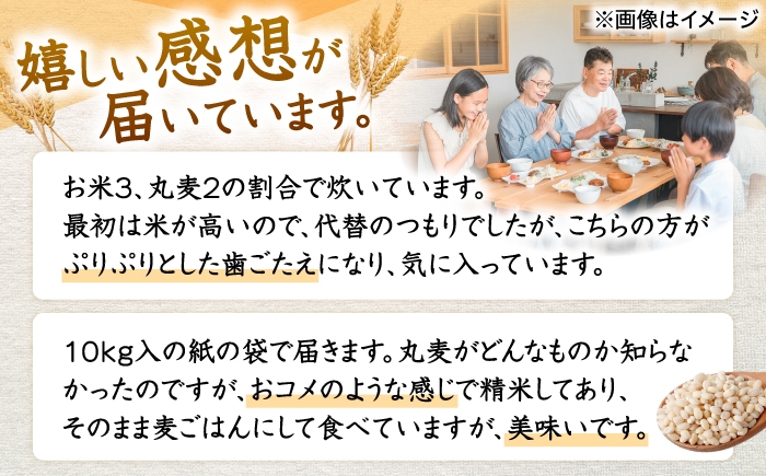 麦 むぎ 大麦 雑穀 雑穀米 麦ごはん ごはん 食物繊維 長崎県産 10キロ 米 こめ コメ ※