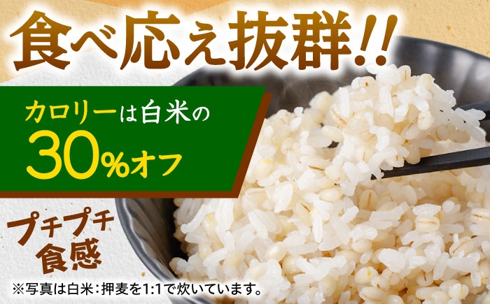 麦 押麦 はだか麦 麦味噌 麦ごはん 雑穀 雑穀米 食物繊維 10キロ 長崎県産 米 こめ コメ ※