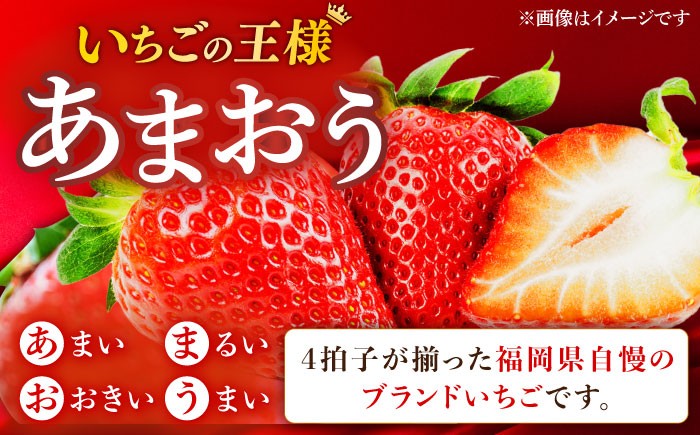 あまおう いちご 苺 イチゴ 特上 ギフト プレゼント 贈答用 贈り物 お祝い フルーツ 高級いちご 人気  国産 おすすめ