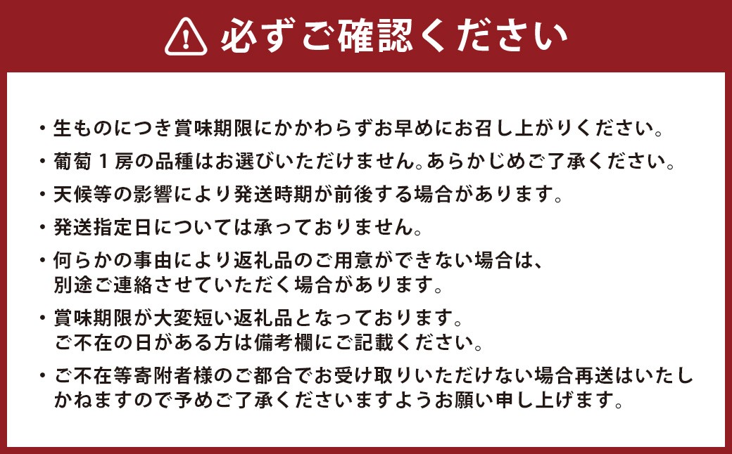 ぶどう食べ比べセット！ シャインマスカット2房、葡萄1房 計3房