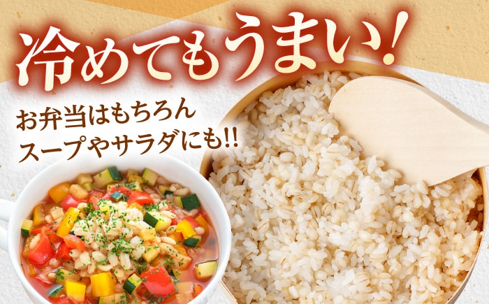 麦 むぎ 雑穀 雑穀米 麦ごはん 麦飯 麦みそ 食物繊維 長崎県産 米 こめ コメ ※