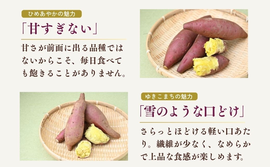 さつまいも サツマイモ さつま芋 焼き芋 食べ比べ 3kg