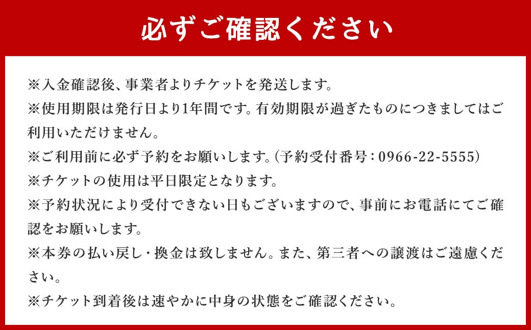 【平日限定】球磨川下り乗船券(一人) 
