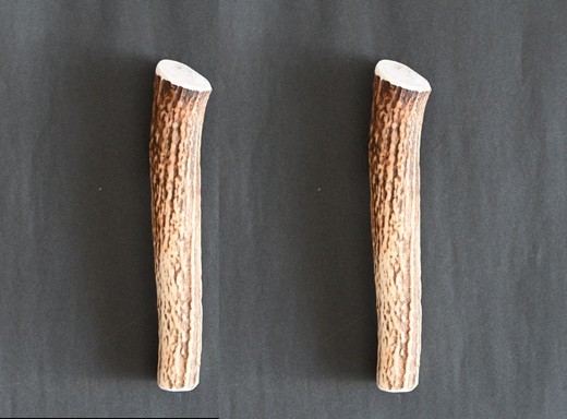 エゾ鹿の角 Ｍサイズ×2本をお届けします。