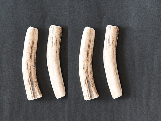 エゾ鹿の角(半割り) Ｓサイズ×4本をお届けします。