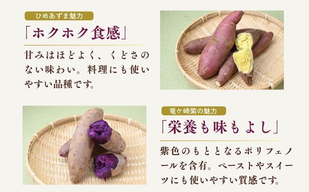 さつまいも サツマイモ さつま芋 焼き芋 食べ比べ 3kg