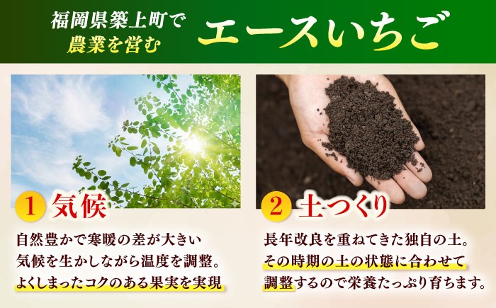 あまおう いちご 苺 イチゴ 特上 ギフト プレゼント 贈答用 贈り物 お祝い フルーツ 高級いちご 人気  国産 おすすめ