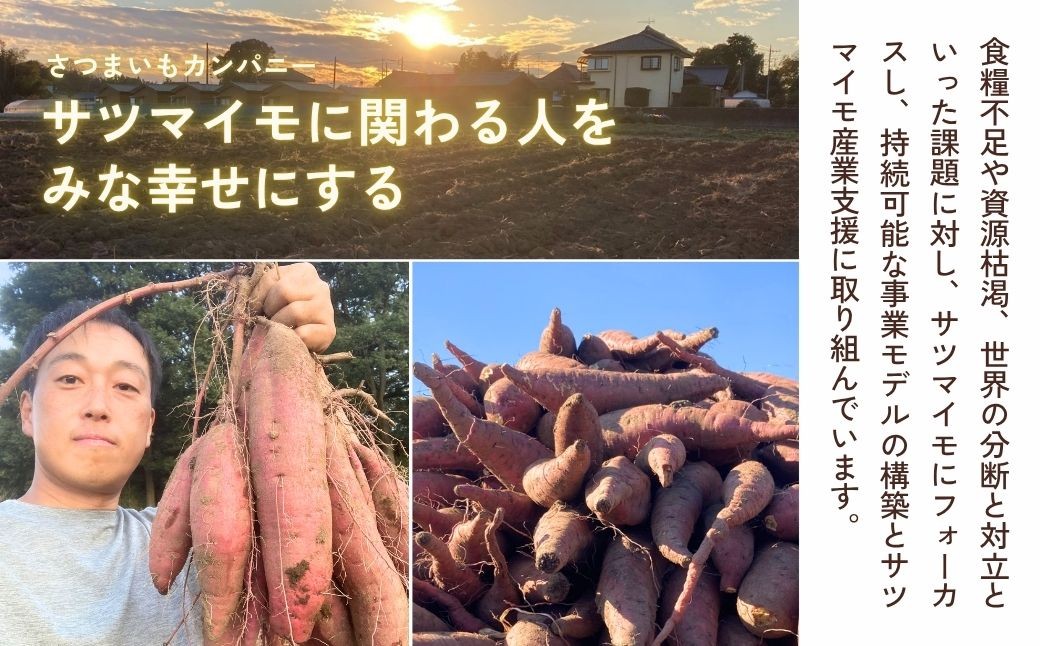 さつまいも ひめあやか さつま芋 サツマイモ 甘藷 お芋 おいも 3kg