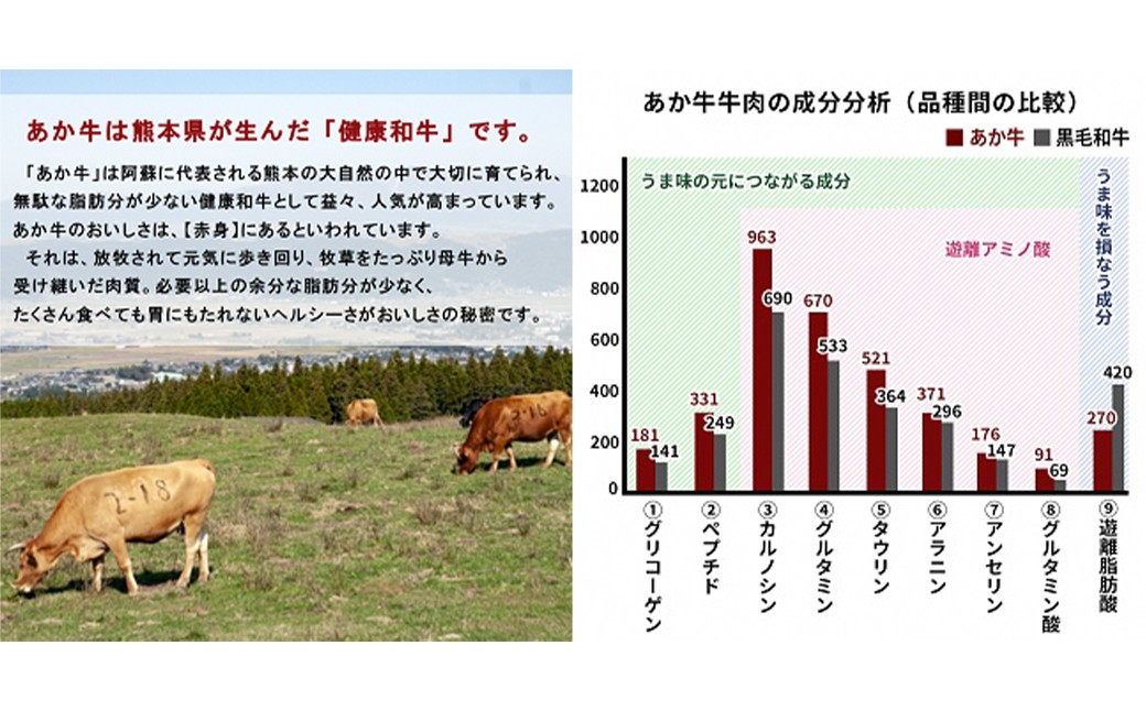 熊本県産 GI認証取得 くまもとあか牛 切り落とし 合計800g
