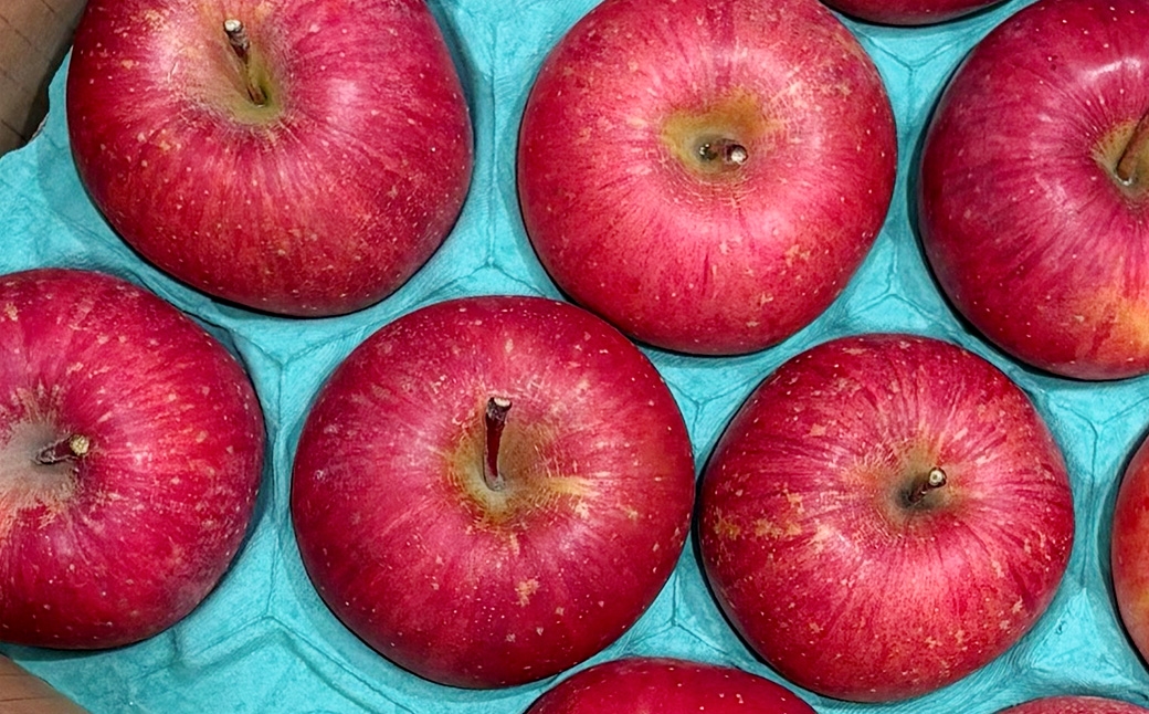 ジェラートしめしめ堂季節のしめしめ大箱ジェラート6種各2個