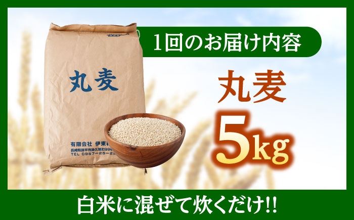 麦 むぎ 大麦 雑穀 雑穀米 麦ごはん ごはん 食物繊維 長崎県産 5キロ 定期便