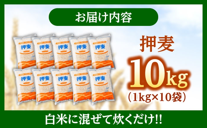麦 押麦 はだか麦 麦味噌 麦ごはん 雑穀 雑穀米 食物繊維 10キロ 長崎県産 米 こめ コメ ※