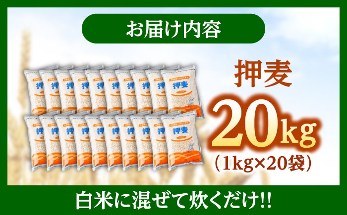 押麦 1kg×20袋 押麦 押し麦 はだか麦 麦ごはん 雑穀 雑穀米