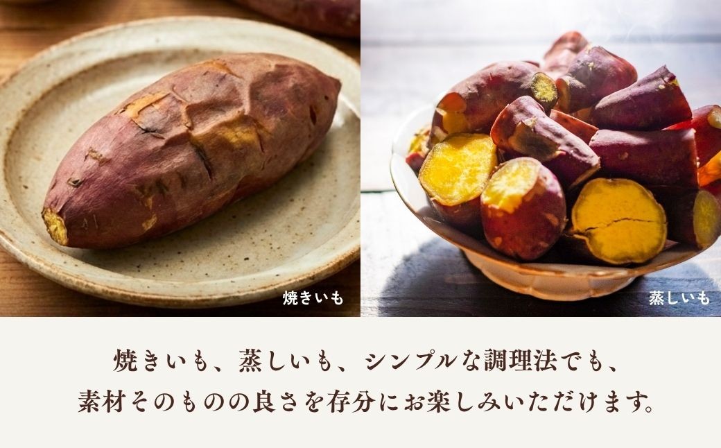 さつまいも サツマイモ さつま芋 焼き芋 食べ比べ 5kg セット ふくむらさき くりこがね ひめあやか ゆきこまち ひめあずま