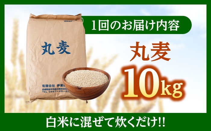 麦 むぎ 雑穀 雑穀米 麦ごはん 麦飯 麦みそ 食物繊維 長崎県産 米 こめ コメ ※