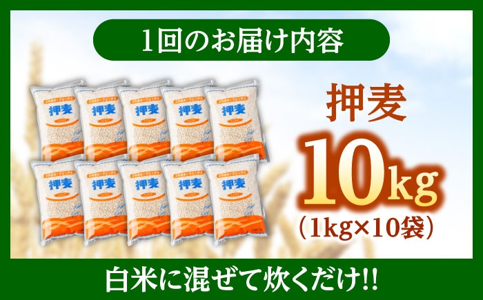 麦 押麦 はだか麦 麦味噌 麦ごはん 雑穀 雑穀米 食物繊維 10キロ 長崎県産 米 こめ コメ ※