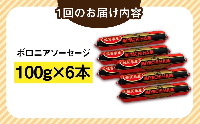 【3回定期便】宮地ハムのロングセラー ボロニアソーセージ 600g（100g×6本） /宮地ハム [UBM011]