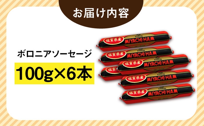 ボロニアソーセージ 600g（100g×6本）小分け 宮地ハム ソーセージ 国産 豚肉 肉 惣菜 使い切り おかず 弁当 朝食 