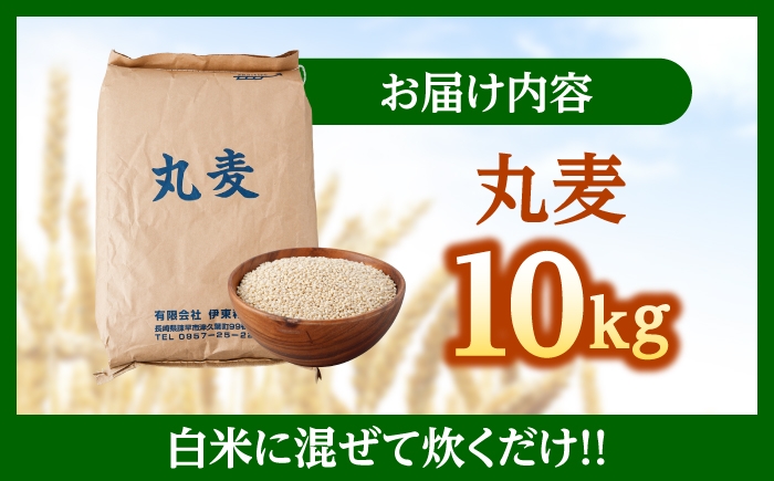 麦 むぎ 大麦 雑穀 雑穀米 麦ごはん ごはん 食物繊維 長崎県産 10キロ 米 こめ コメ ※