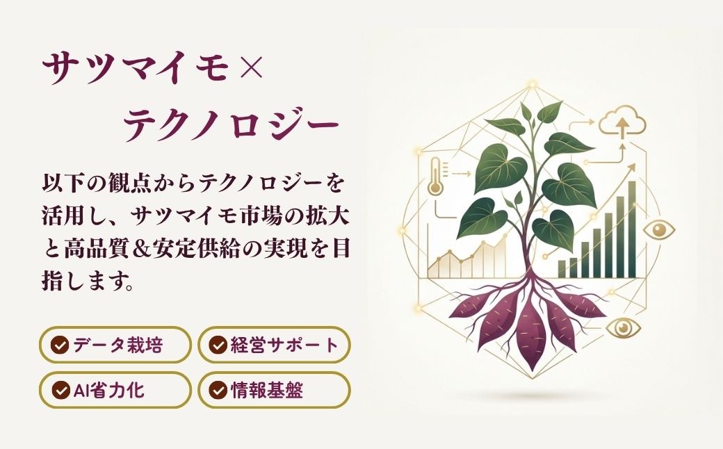 さつまいも ひめあやか さつま芋 サツマイモ 甘藷 お芋 おいも 5kg