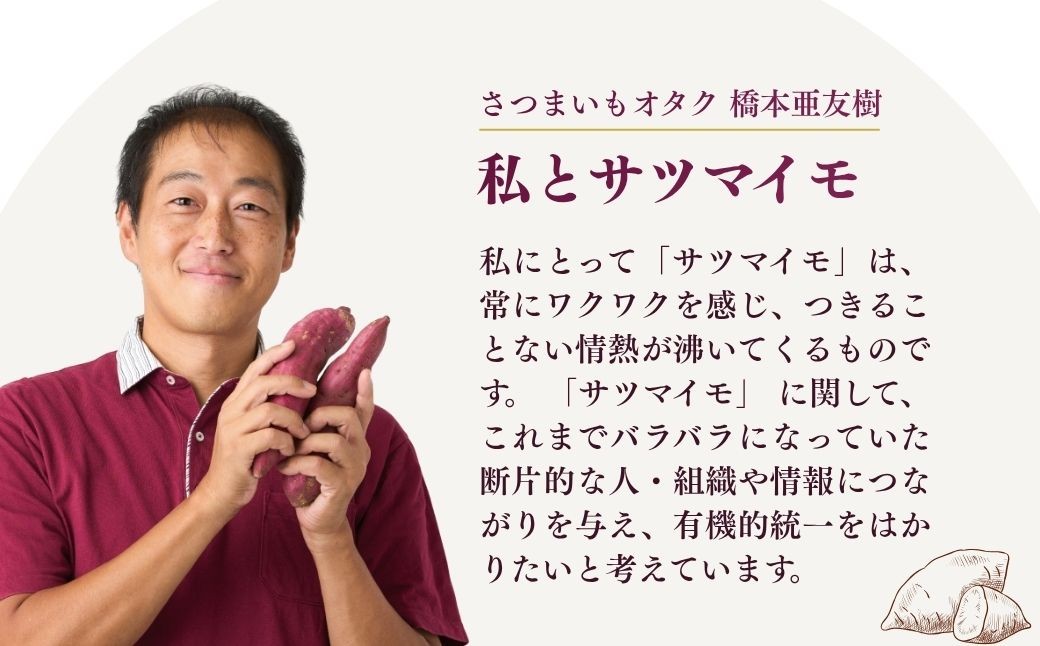 さつまいも サツマイモ さつま芋 焼き芋 食べ比べ 3kg