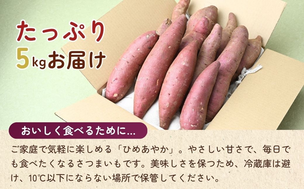 さつまいも ひめあやか さつま芋 サツマイモ 甘藷 お芋 おいも 5kg