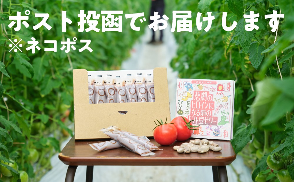 ネコポス（ポスト投函）でのお届けとなります