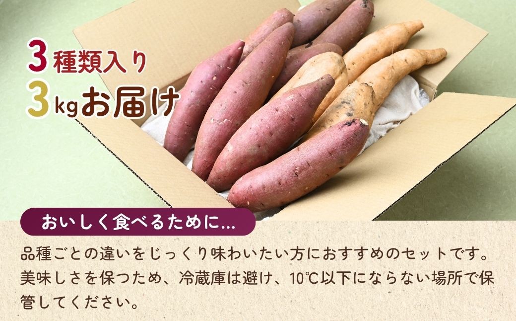 さつまいも サツマイモ さつま芋 焼き芋 食べ比べ 3kg