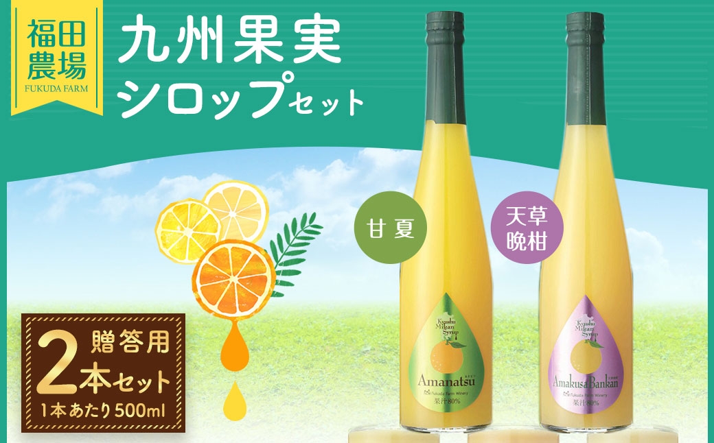 九州果実シロップ 2本セット（甘夏・天草晩柑）