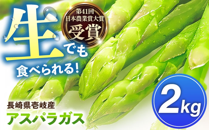 野菜 アスパラ Lサイズ 新鮮 美味しい おいしい 食べ応え