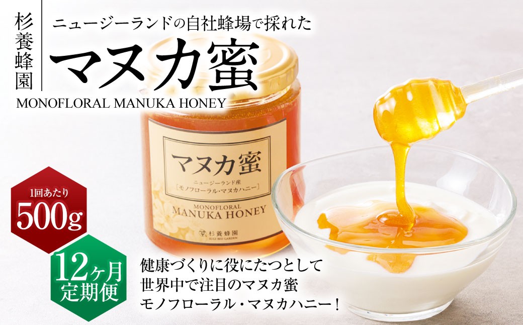 【12ヶ月定期便】ニュージーランド産マヌカ蜜 約500g 瓶