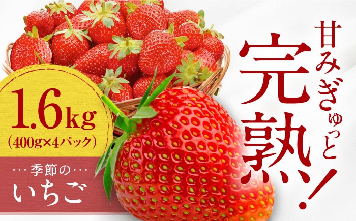 いちご イチゴ 苺 イチゴ詰め合わせ 紅ほっぺ あまえくぼ あまおとめ すず strawberry ichigo 果物 ふるーつ