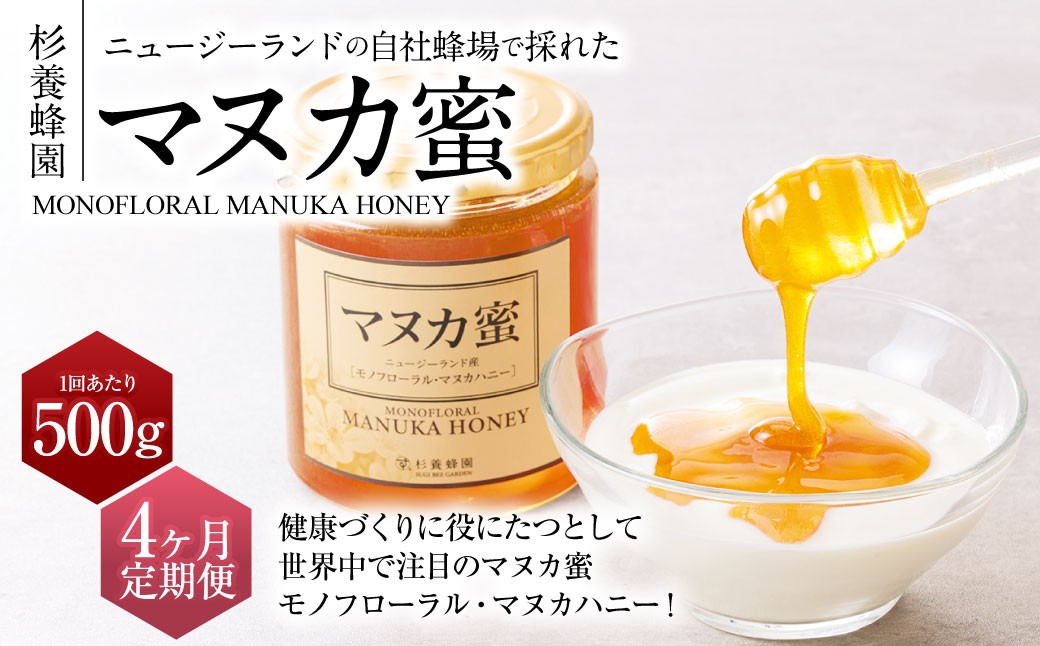 【4ヶ月定期便】ニュージーランド産 マヌカ蜜 約500g×4ヶ月 ／ 計約2kg
