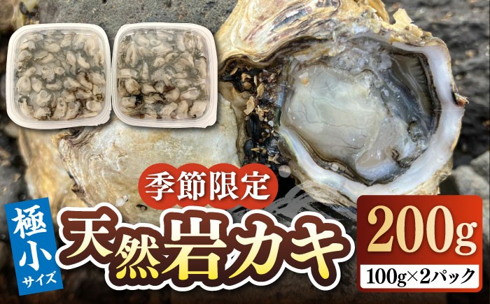 牡蠣 かき カキ 天然 生ガキ カキフライ 魚介 海鮮 貝 BBQ バーベキュー