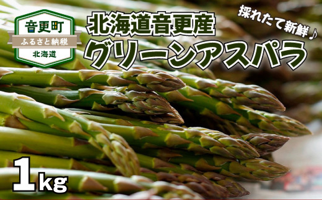 ［ 先行受付 ］ おとふけ産グリーンアスパラ 1kg 【 A133 】